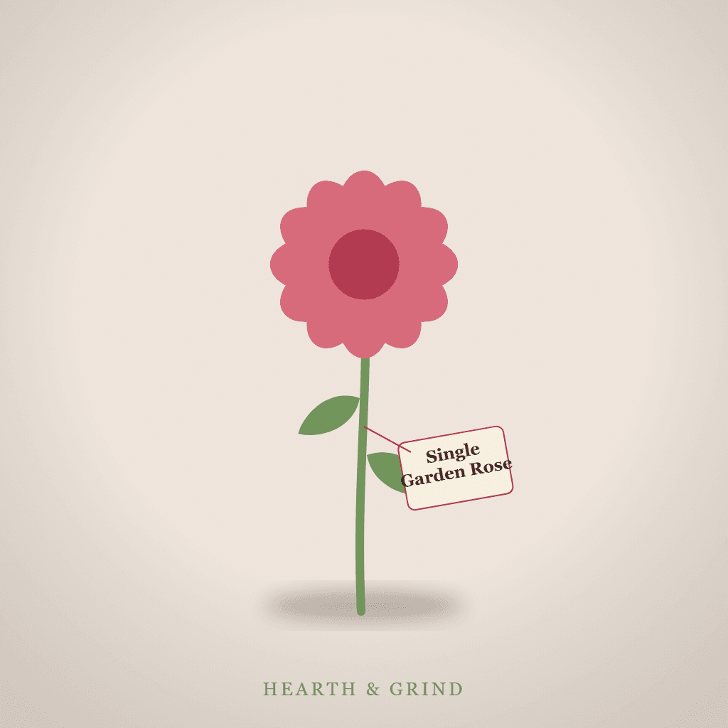 Single Garden Rose